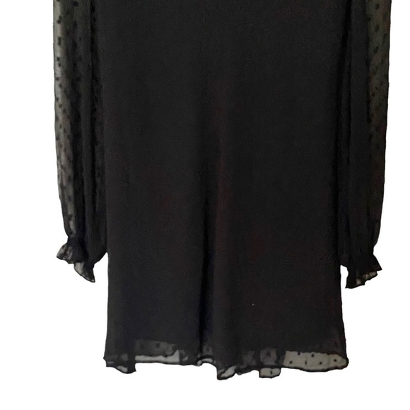 Zara Pleated Black Swiss Dot Sheer Mini Dress, Size X-Small - Picture 8 of 13